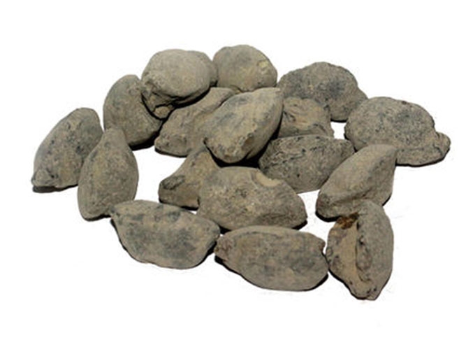 沈阳出口改质剂多少钱一吨